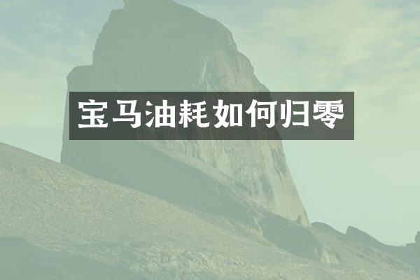 宝马油耗如何归零