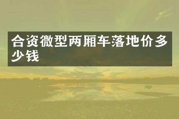 合资微型两厢车落地价多少钱