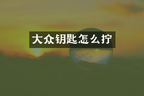 大众钥匙怎么拧