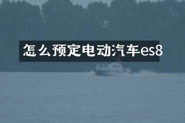 怎么预定电动汽车es8