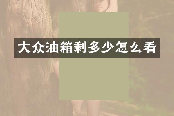 大众油箱剩多少怎么看