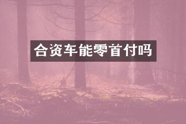 合资车能零首付吗