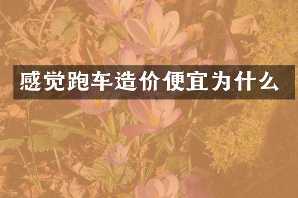 感觉跑车造价便宜为什么