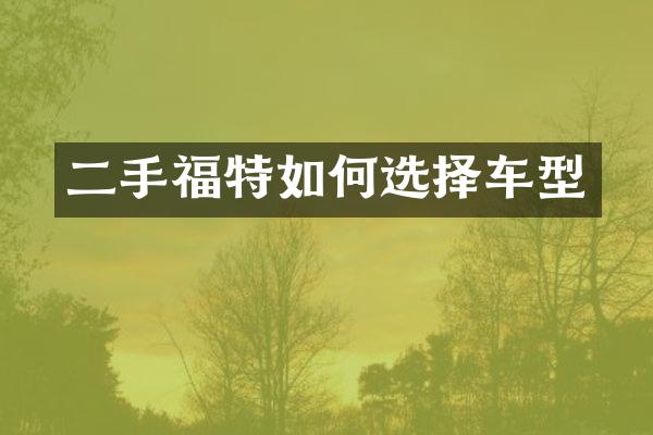 二手福特如何选择车型