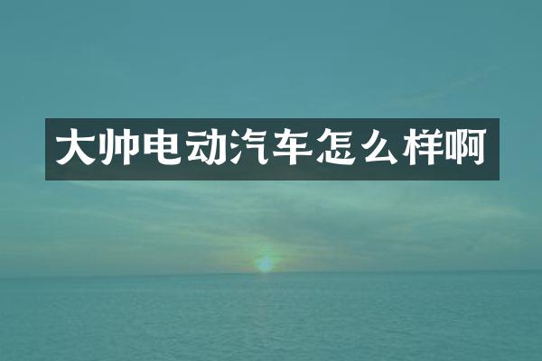 大帅电动汽车怎么样啊