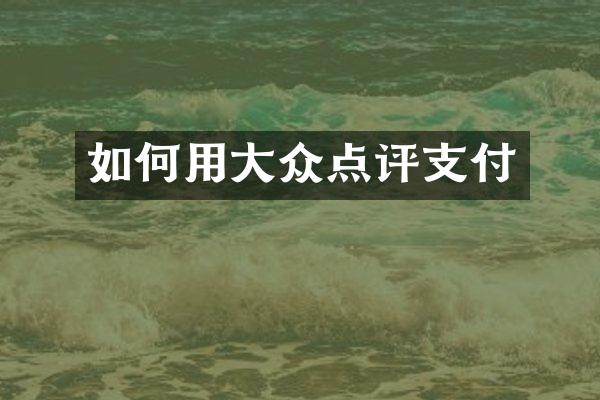 如何用大众点评支付