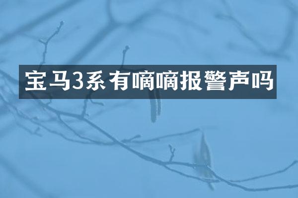 宝马3系有嘀嘀报警声吗