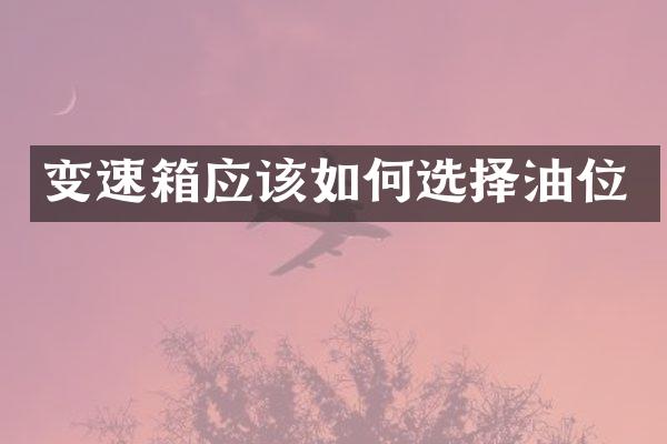变速箱应该如何选择油位