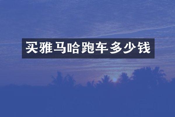 买雅马哈跑车多少钱