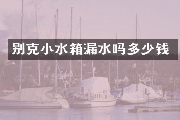 别克小水箱漏水吗多少钱