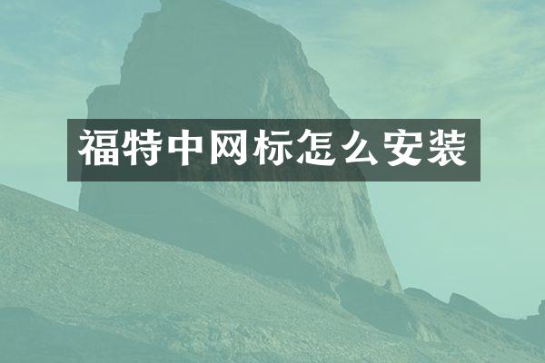 福特中网标怎么安装