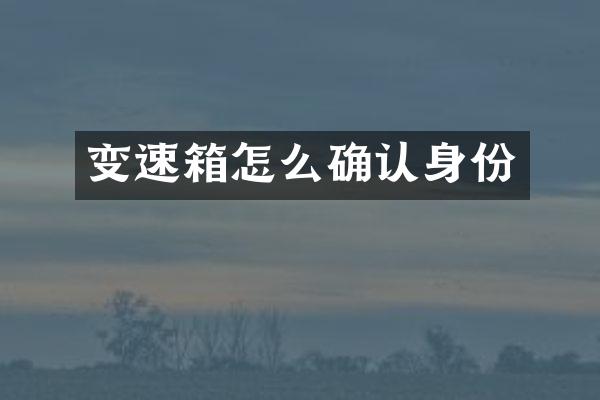 变速箱怎么确认身份
