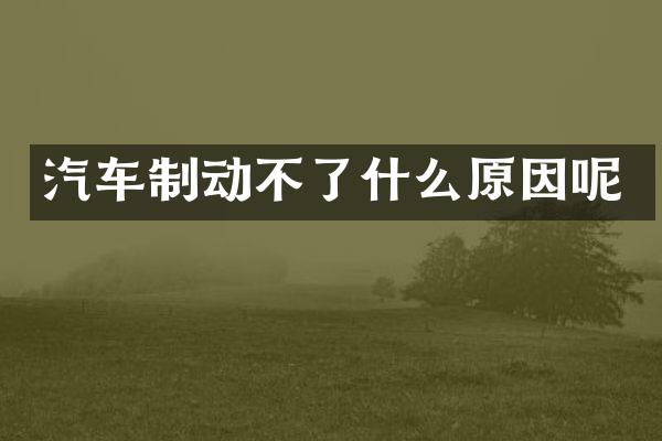汽车制动不了什么原因呢