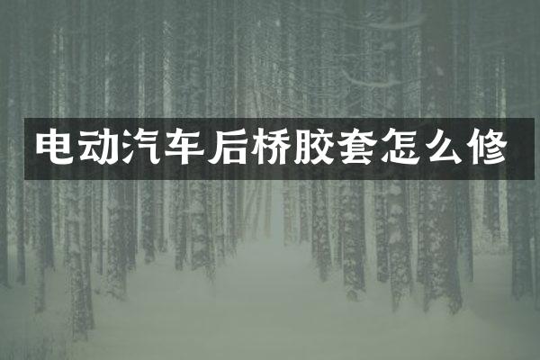电动汽车后桥胶套怎么修