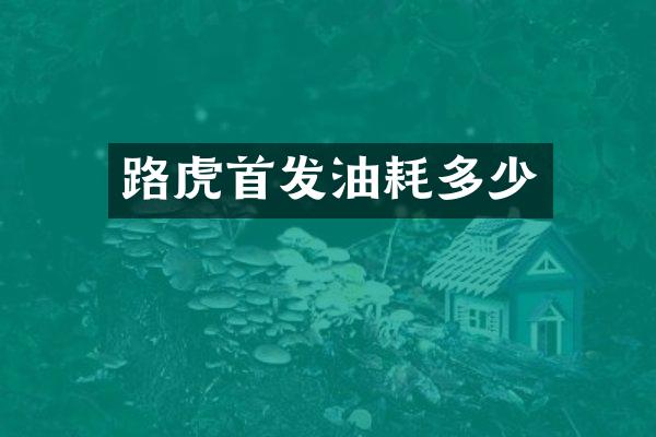 路虎首发油耗多少