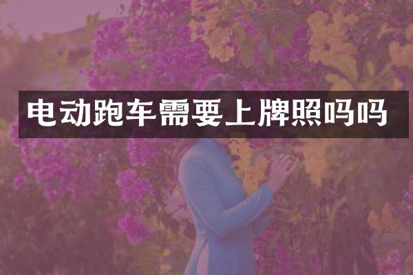 电动跑车需要上牌照吗吗