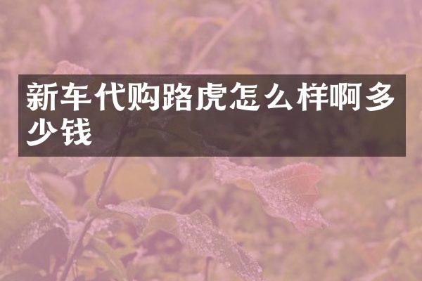 新车代购路虎怎么样啊多少钱