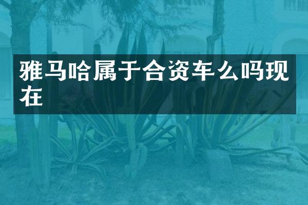 雅马哈属于合资车么吗现在