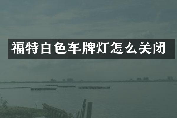 福特白色车牌灯怎么关闭