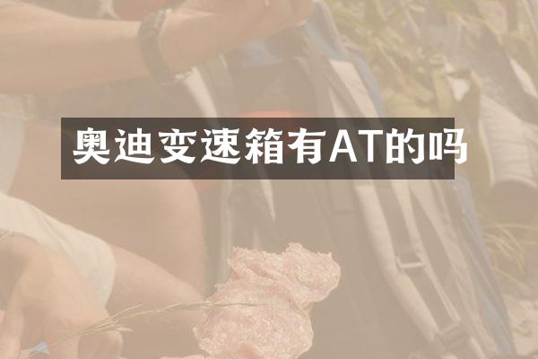奥迪变速箱有AT的吗