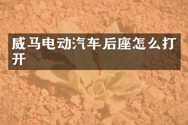 威马电动汽车后座怎么打开