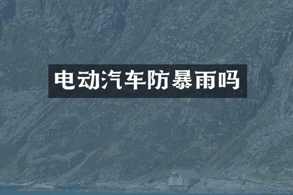 电动汽车雨吗