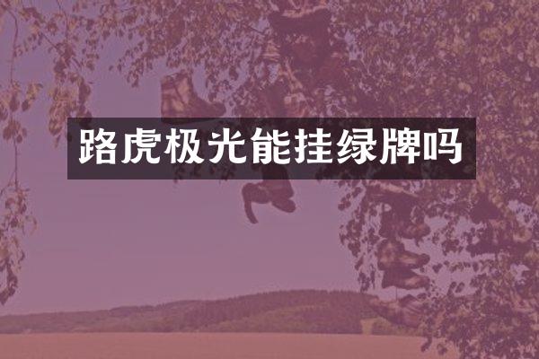 路虎极光能挂绿牌吗