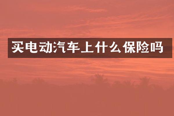 买电动汽车上什么保险吗