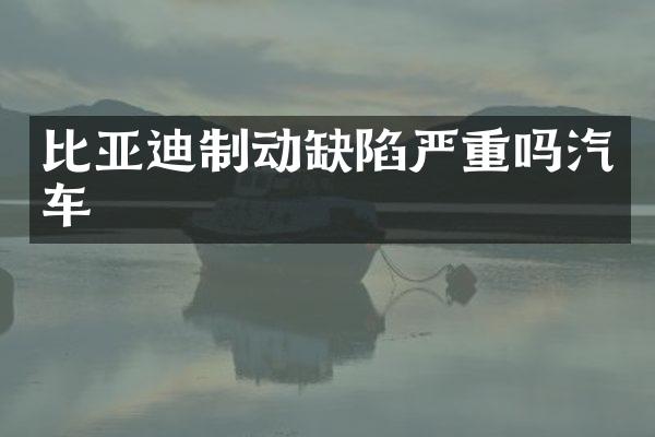 比亚迪制动缺陷严重吗汽车