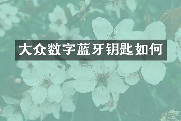 大众数字蓝牙钥匙如何