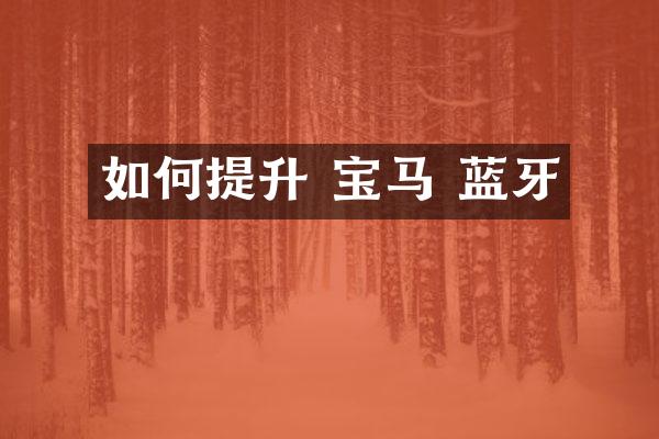 如何提升 宝马 蓝牙