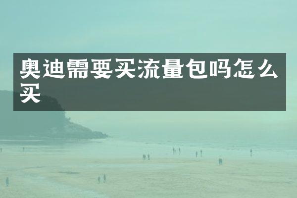 奥迪需要买流量包吗怎么买