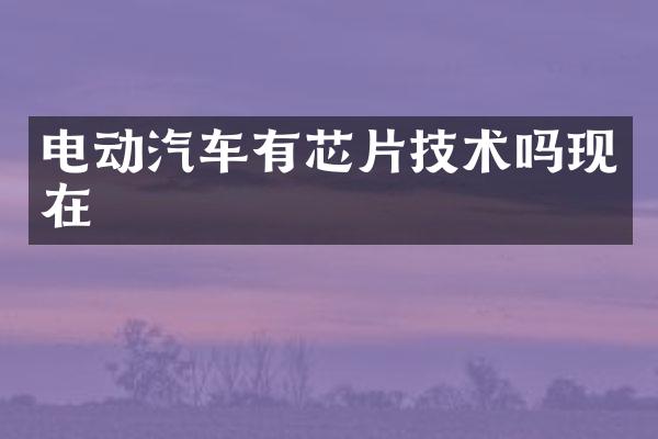 电动汽车有芯片技术吗现在