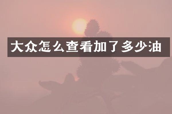 大众怎么查看加了多少油