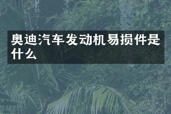 奥迪汽车发动机易损件是什么