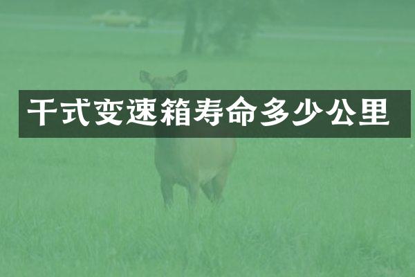 干式变速箱寿命多少公里
