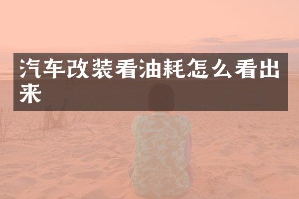 汽车改装看油耗怎么看出来