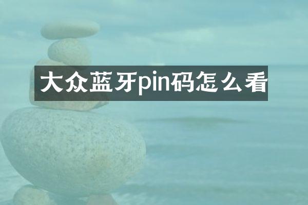 大众蓝牙pin码怎么看