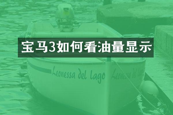 宝马3如何看油量显示