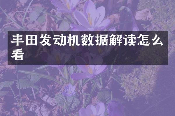 丰田发动机数据解读怎么看