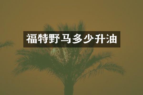 福特野马多少升油