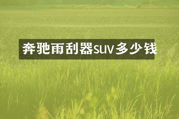 奔驰雨刮器suv多少钱