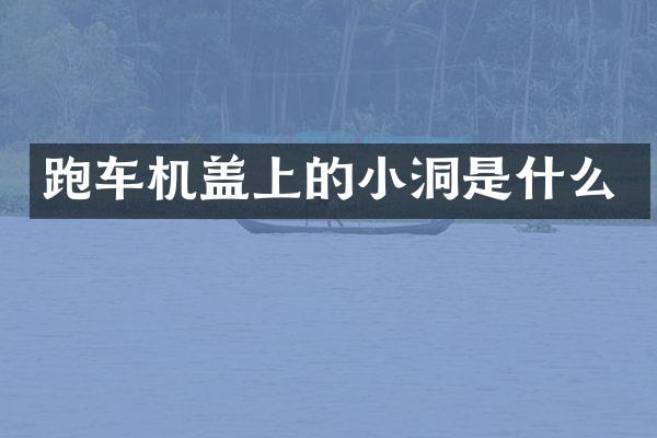 跑车机盖上的小洞是什么