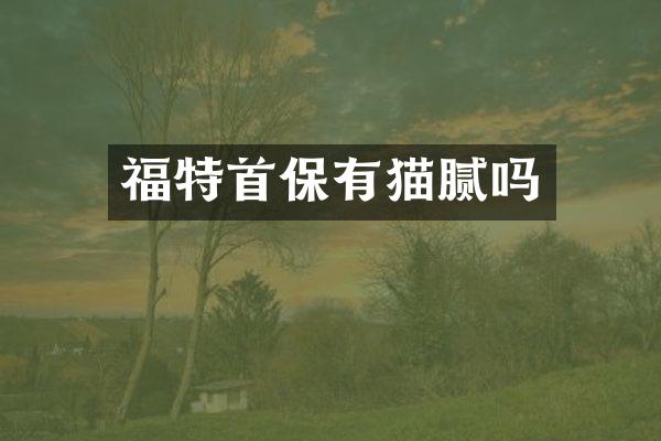 福特首保有猫腻吗