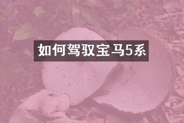 如何驾驭宝马5系