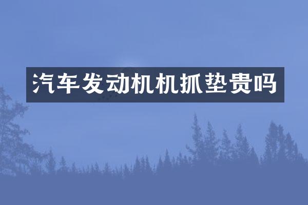汽车发动机机抓垫贵吗