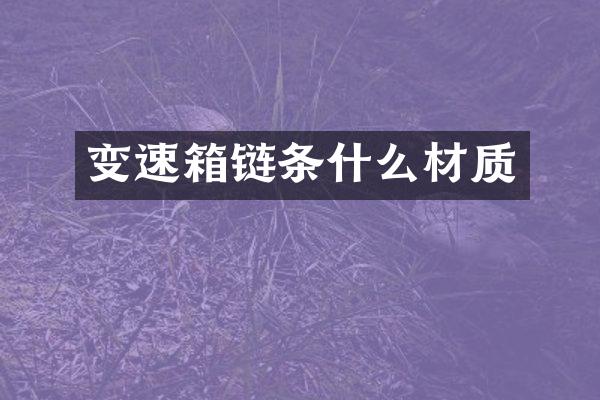 变速箱链条什么材质