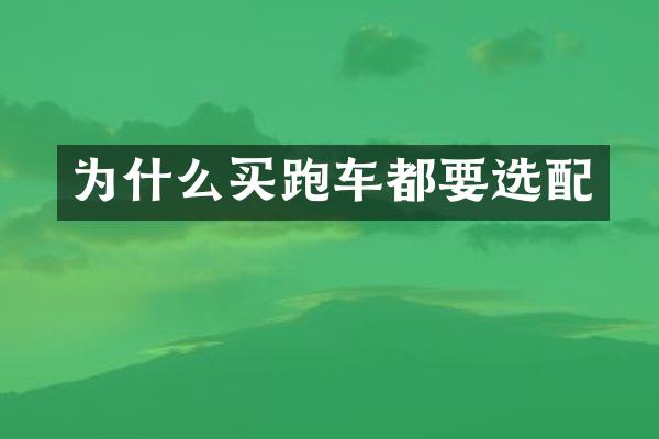 为什么买跑车都要选配