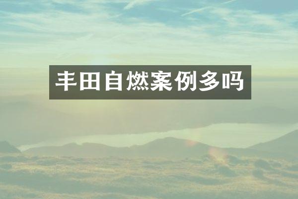丰田自燃案例多吗
