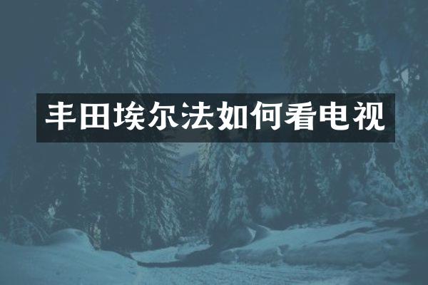 丰田埃尔法如何看电视